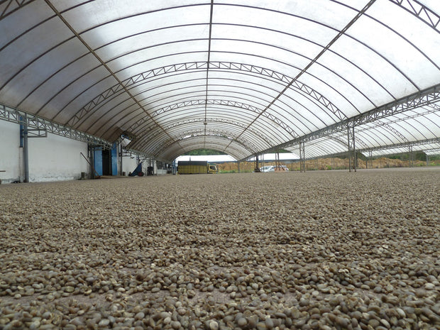 Asia - Indonesia Coffee Sumatra