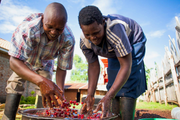 Uganda
